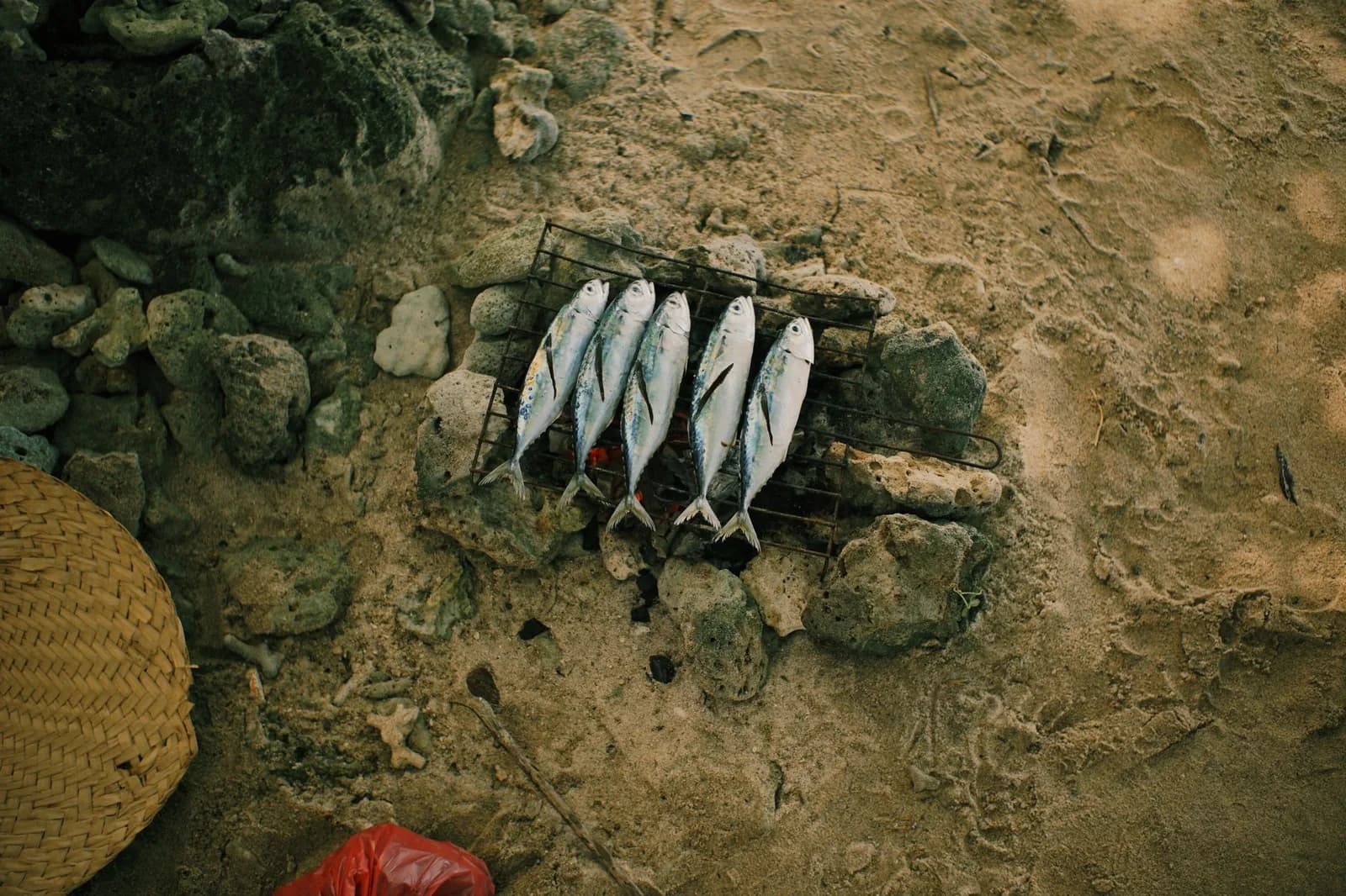 Fresh fish grilling over embers on a small rack set on a sandy beach
