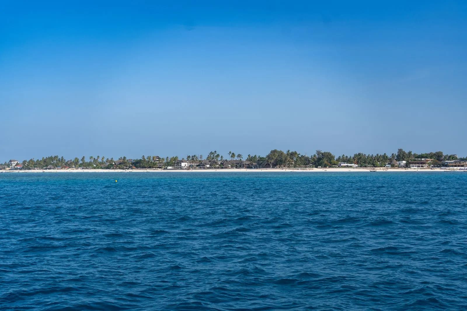 Coconut palms leaning over the white sand of the south east coast of Zanzibar