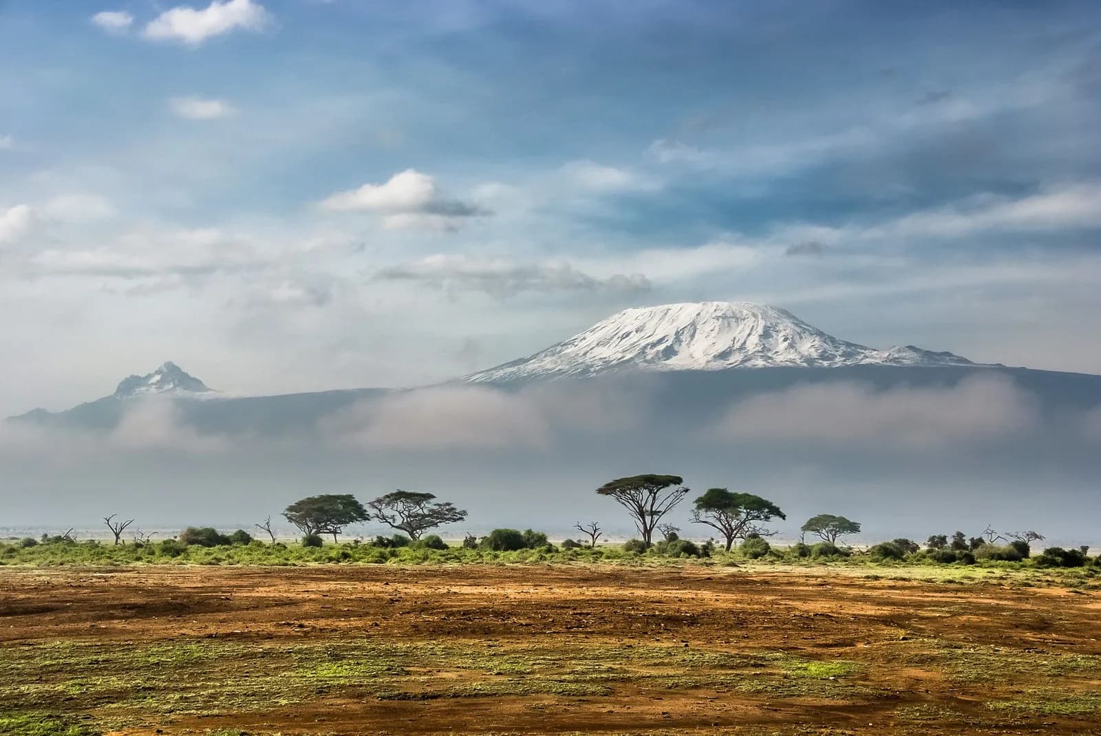 Snow-capped Mount Kilimanjaro rising above the savanna and acacia trees