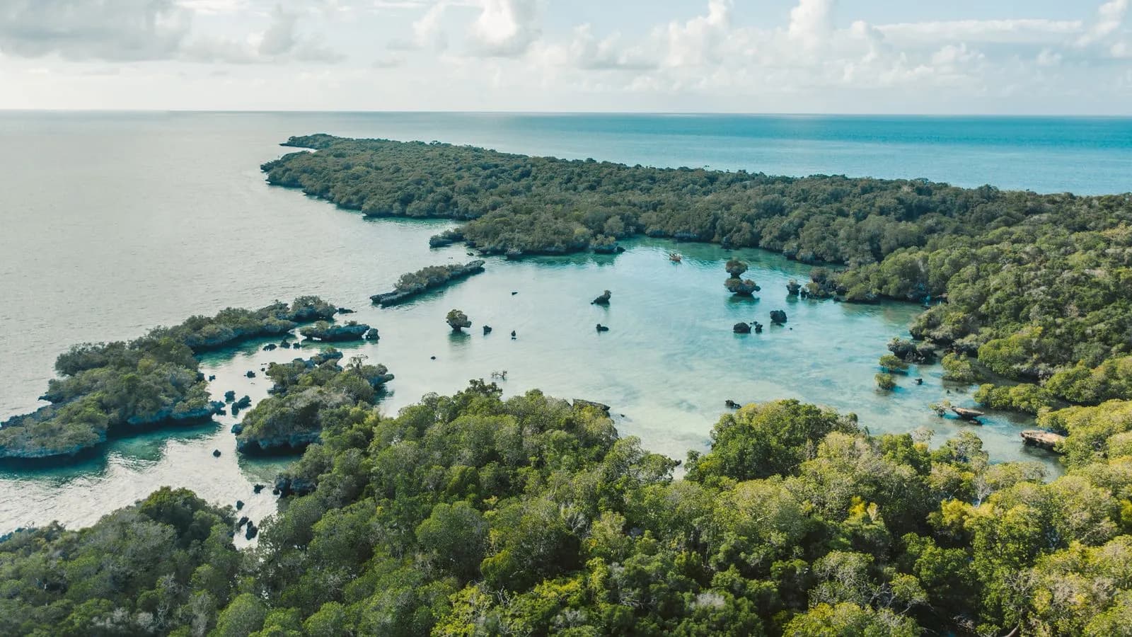 Mangrove and shallow lagoon on the Chwaka Bay side of Jozani, Zanzibar