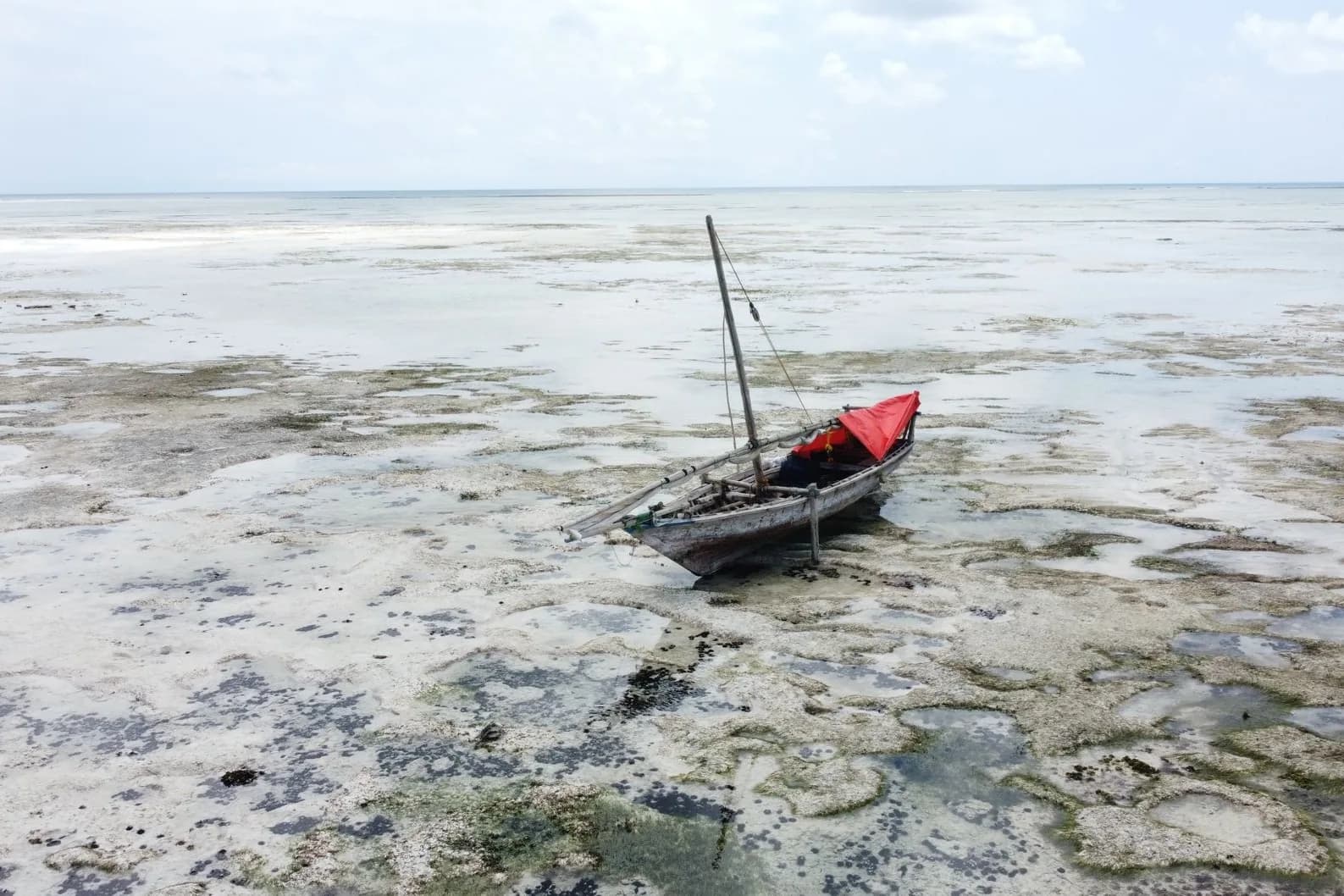 Wooden dhow stranded on the exposed coral reef flat at low tide on the Zanzibar coast