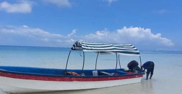 Misali Island snorkelling with a beach barbecue