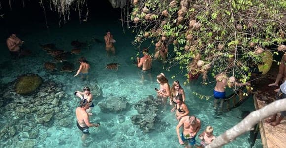 Jozani and the sea turtle sanctuary