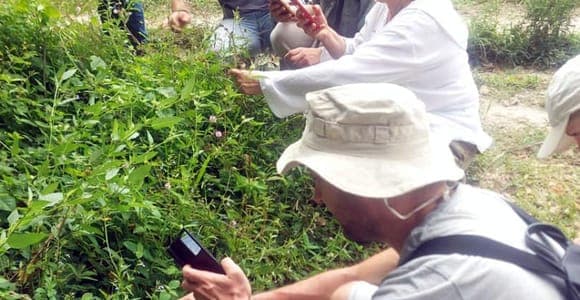 Ngezi forest guided walk, lunch and transfers