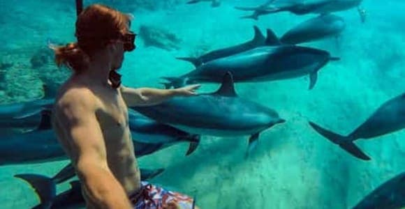 Mnemba private: dolphins and snorkelling
