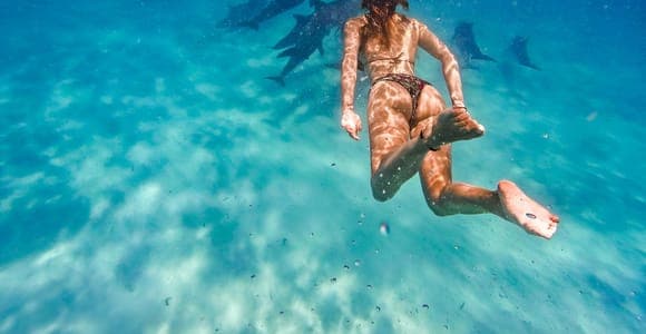 Dolphins and snorkelling around Mnemba