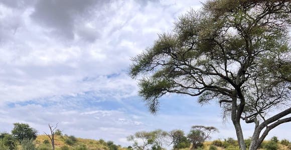 Two days: Tarangire and the Ngorongoro crater